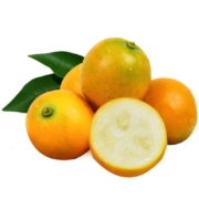plus会员：水果蔬菜 融安脆皮金桔 5斤（单果8-15g）