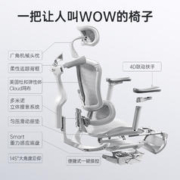SIHOO 西昊 Doro C100人体工学椅