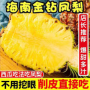 甜萌果蔬海南金钻凤梨热带无眼脆甜波萝当季新鲜水果手撕凤梨送礼 5斤 大果装