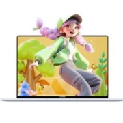 京东百亿补贴：华为 MateBook D14 2023旗舰版轻薄本笔记本电脑