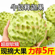 OIMG 牛奶凤梨释迦果 甄选释迦果5斤