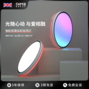 DIM3 英国DiM3全光谱炫彩RGB吸顶灯儿童房卧室电竞房LED灯具智能语音