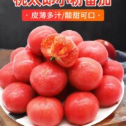 北京奥运会食材供应商，绿行者 桃太郎小粉番茄新鲜西红柿5斤