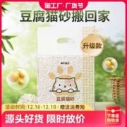 DR.LION 狮子医生 原味豆腐猫砂低尘除臭低尘可冲厕所非10kg猫咪用品