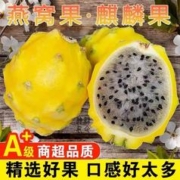 甜艾妮 海南新鲜燕窝果3斤 礼盒装 单果2-3两