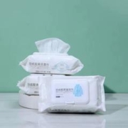 天降到手1.01元 羽绒服湿巾80抽