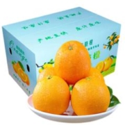 秒杀！！正宗赣南脐橙5斤特大果（精选甜果）