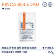 Mosto果汁添加：TERRAFORM COFFEE ROASTERS 啟程拓殖 厄瓜多尔 wave混合蜜处理日晒 希爪 100g