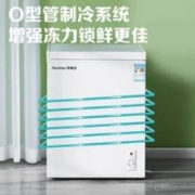 京东百亿补贴：Royalstar 荣事达 低霜小冰柜 一级能效 58升