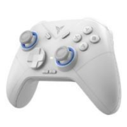 京东百亿补贴：FLYDIGI 飞智 冰原狼2 多模版 无线游戏手柄
