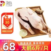 柒岛 大白老鹅 杀后6斤以上