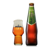 青岛啤酒（TsingTao）IPA印度淡色艾尔精酿啤酒 330ml*12瓶 整箱装