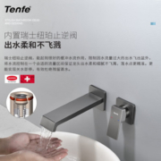 鼎菲 （Tenfe）暗装龙头入墙式冷热洗手盆面盆家用洗手台墙排浴室卫生间水龙头精铜 MP1029Q-ZT
