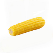 PLUS会员: 易中易 玉中玉 有机黄糯玉米 240g/根