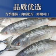 PLUS会员：星河湾 海鲜礼盒大鱼礼盒10斤-12斤