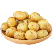 京地达栗贝诺 小土豆新鲜净重4.5斤
