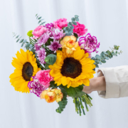 京东百亿补贴：钟爱love 混色康乃馨10混色小雏菊2向日葵2尤加利叶6