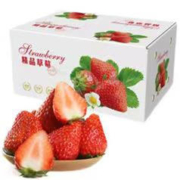 源由四川大凉山露天甜草莓新鲜应季水果 精品奶油草莓 2.5斤装 单果（15-20克）