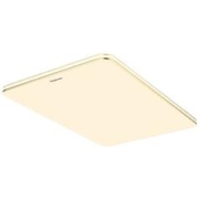 19日0点：Panasonic 松下 HHLAZ6078L LED吸顶灯 120W 金边