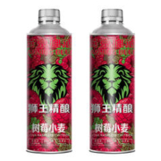 LION 狮王 临期：狮王精酿啤酒 树莓 1L 2瓶 双瓶装 【临期7.2生产】