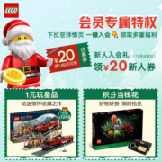 乐高（LEGO）积木哈利波特76418 2023圣诞倒数日历7岁+儿童玩具圣诞礼物上新
