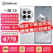 OnePlus 一加 12 5G手机 12GB+256GB 留白