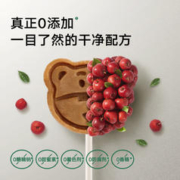 宝宝馋了 山楂棒棒糖儿童零食无添加水果棒送一岁宝宝婴儿辅食食谱