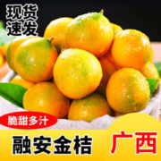 YANXIAOHONG 颜小荭 广西融安脆皮小金桔 3斤大果（约37-45个/斤）