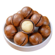 食界君 精选大颗粒夏威夷果 250g*1罐