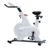 舒华（SHUA）动感单车A3-S家用智能磁控健身器材室内健身车脚踏自行车 B399C白丨磁控调阻丨居家燃卡