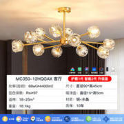 月影 MC350-12HQGAX 12头铜灯 全网通智控
