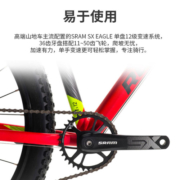 迪卡侬ST900长途山地自行车避震越野山地车SRAM12速SX男女OVB1 S 165~175cm 27.5英寸 12速