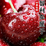 限定前99位福利价！智利车厘子 4J级2.5斤礼盒装 顺丰极速
