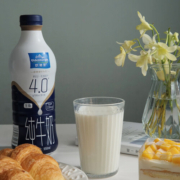 欧德堡 东方PRO系列   4.0蛋白质 全脂牛奶 950ml*1   纯牛奶 单支装