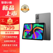 Lenovo 联想 小新Pad 2024 轻薄机身 学测练丰富资源 高刷护眼 杜比全景声11英寸平板学习机 6+128灰色