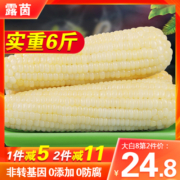 【23年新货】露茵玉米糯玉米新鲜黏粘玉米甜糯米玉米真空东北玉米