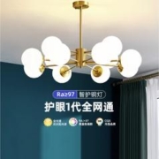 20点开始：月影家居 护眼RA97 12头铜灯 全网通智控