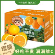 之味珍选 江西赣南脐橙 4.5-5斤 60-70mm