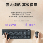 罗技（Logitech） MK295无线轻音鼠套装 商务办公键鼠套装台式电脑键盘 轻音鼠标键盘全尺寸 罗技MK295（黑色）