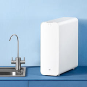 Xiaomi 小米 米家小米净水器家用净水机800 厨下式直饮机 六级过滤 5年RO反渗透 双出水龙头 无陈水 智能互联