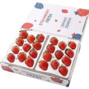 兰怜 大凉山红颜99草莓 大果4盒（15粒单盒净重300g+）
