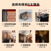 先锋（SINGFUN）取暖器 取暖电器 电油丁热浪油汀 电暖器 电暖气片烤火炉 大面积电暖炉 15片电热油汀DYT-SS15