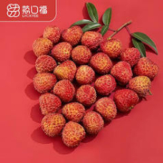 荔口福 妃子笑荔枝 3斤 精选特大果