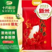 十月稻田 23年新米 辽河长粒香大米 5kg