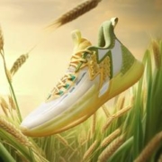 9日20点：361° BIG3 4.0PRO 禾下乘凉 男款实战篮球鞋 672321106F