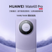 10:08开始：HUAWEI 华为 Mate 60 Pro 5G智能手机 12GB+512GB 南糯紫