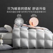 BLISS 百丽丝 羽绒被 鹅绒被芯四季秋冬保暖被子被芯 冬厚被 220cm×240cm