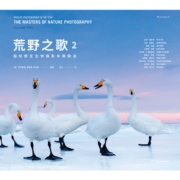 荒野之歌2：国际野生生物摄影年赛精选