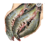 东上御品 虾 青岛大虾  气动大虾4斤【净虾3斤】
