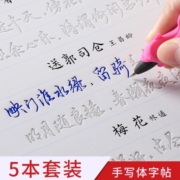 乐学文化字帖行书成人男行楷行草凹槽手写体练字帖成年反复用连笔草书初学者硬笔书法练习写字钢笔临摹练字本 手写体凹槽字帖5本+20支笔芯2笔杆2握笔器